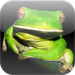 Amazing Wild Nature Puzzle